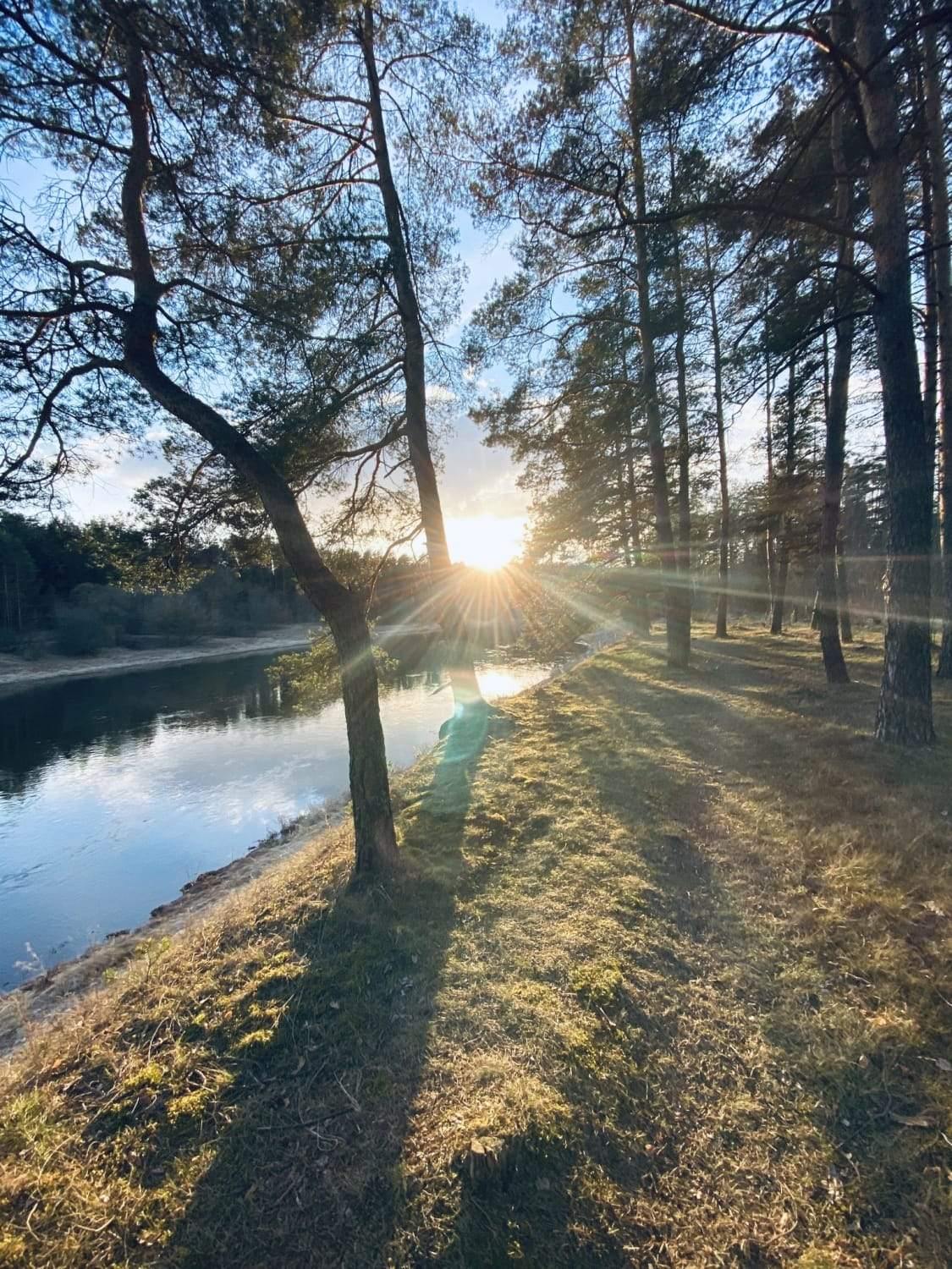 Ką galime padaryti, kad gyventume ilgiau, sveikiau ir laimingai?.
