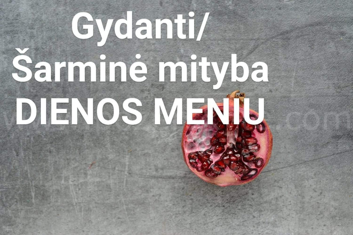 "Gydanti – šarminanti mityba“. VIENOS DIENOS MENIU.