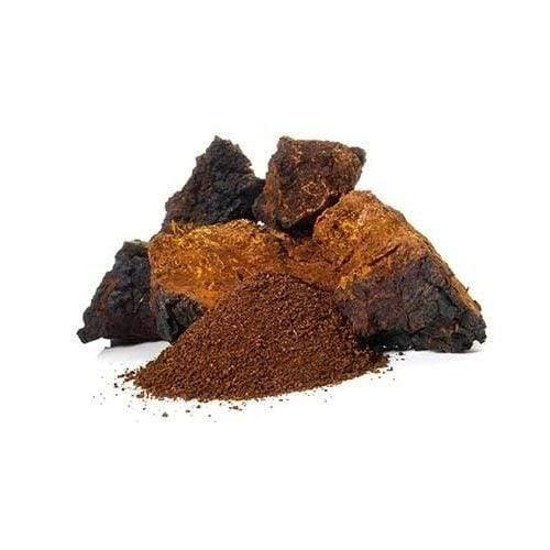 ČAGA- chaga, Beržo juodgrybis (Inonotus obliquus).
