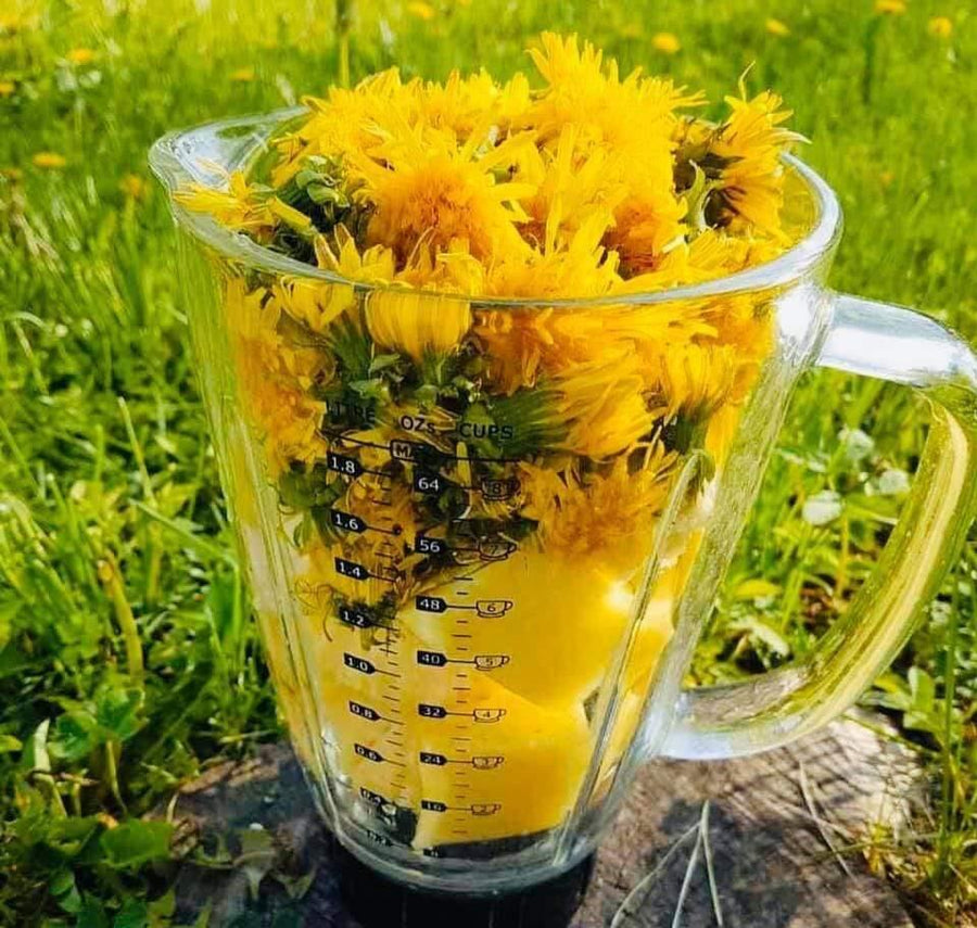 ŽOLĖ- KARALIENĖ 🌿kas tai ir kokia nauda?.