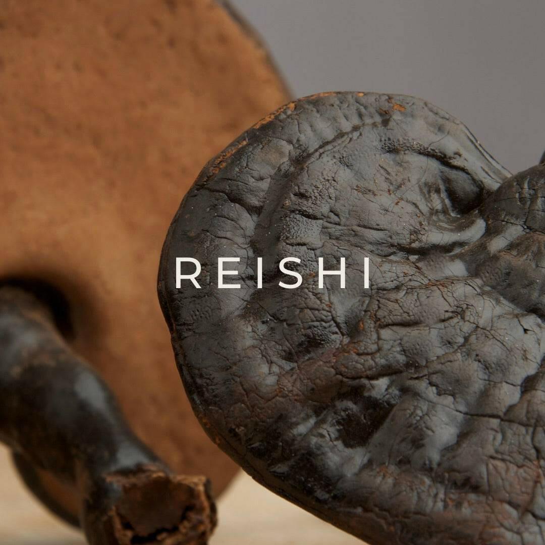 -20% REISHI.